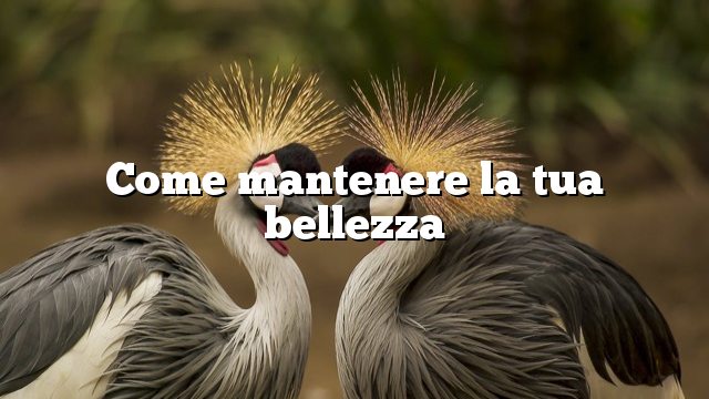 Come mantenere la tua bellezza