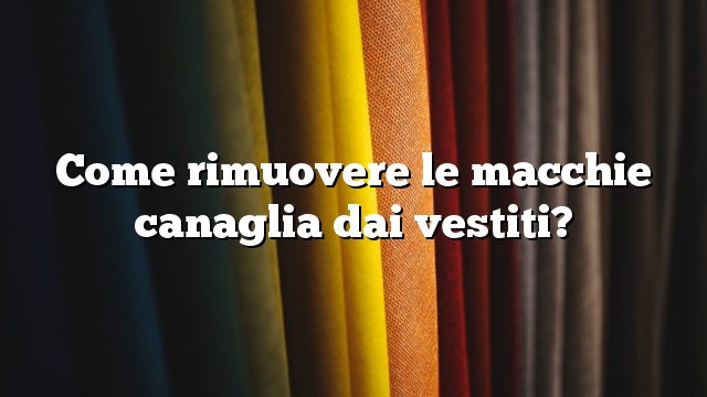 Come rimuovere le macchie canaglia dai vestiti?