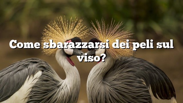 Come sbarazzarsi dei peli sul viso?