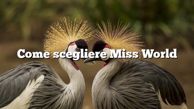 Come scegliere Miss World