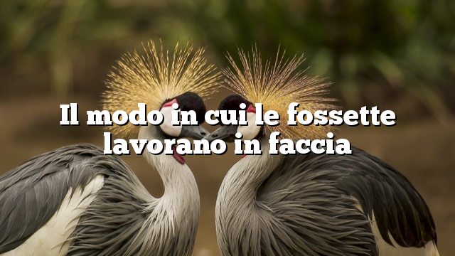 Il modo in cui le fossette lavorano in faccia