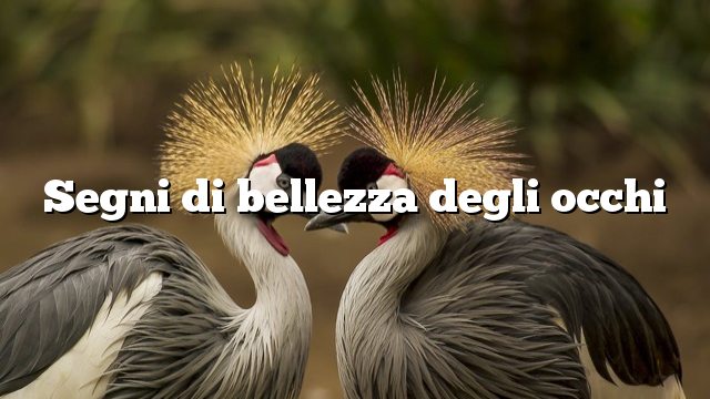 Segni di bellezza degli occhi