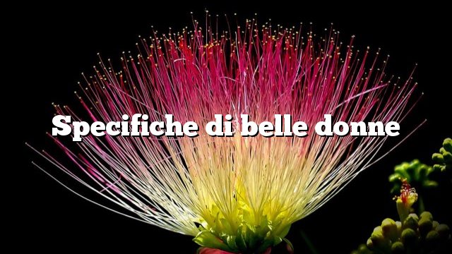 Specifiche di belle donne